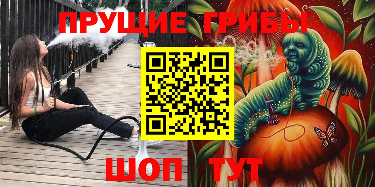 Александров  Галлюциногенные грибы Psilocybine cubensis  Вход с VPN 