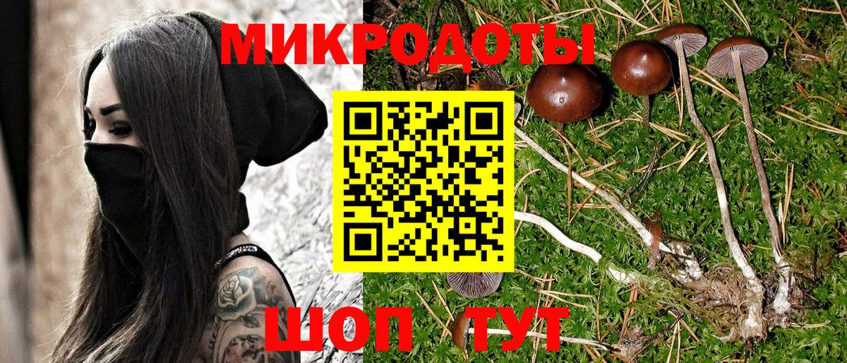 Галлюциногенные грибы MAGIC MUSHROOMS Александров